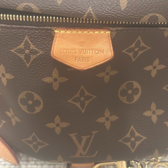 Louis Vuitton Brown Monogram Bum Bag - Picture 3 of 13